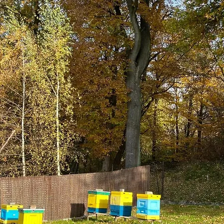 Debowy Zakatek - Spokojny, Komfortowy Wypoczynek W Okolicy Krakowa *